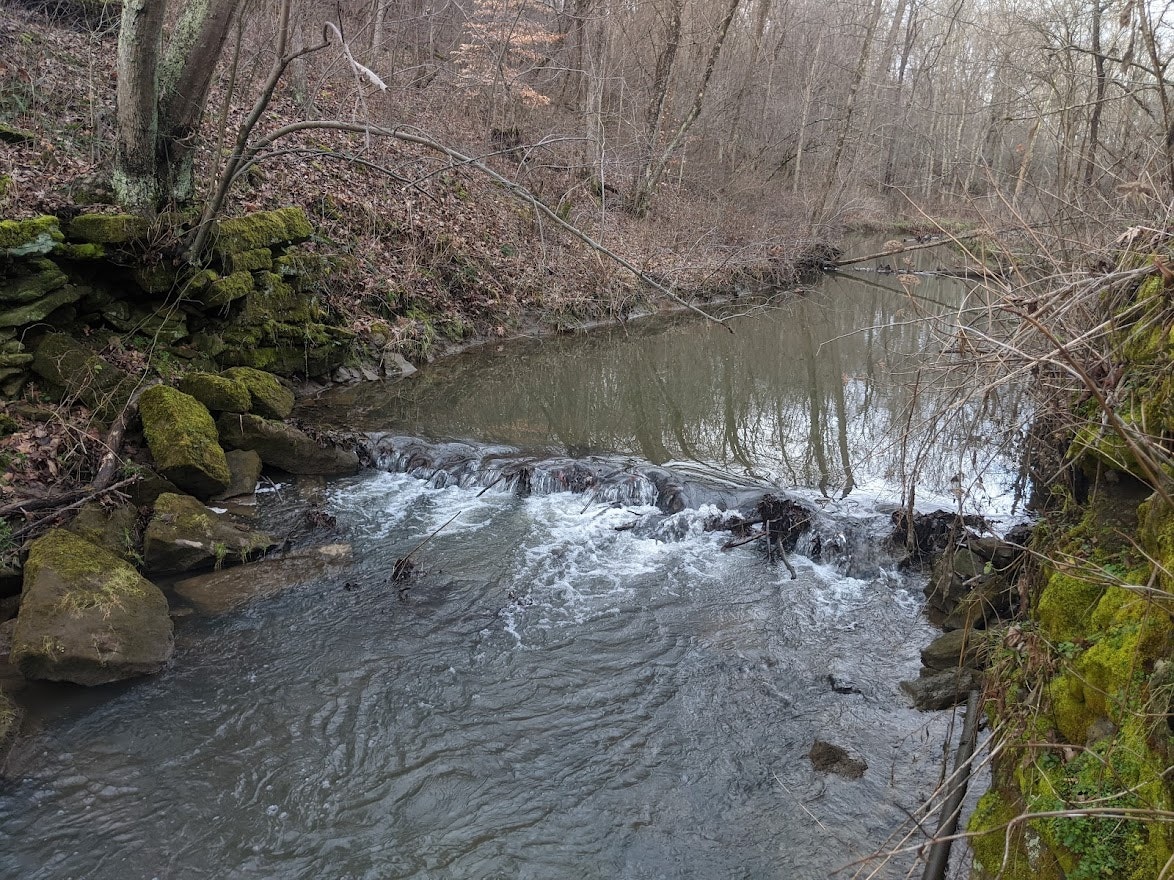 A small creek with flowing water, surrounded by moss-covered rocks and leafless trees.