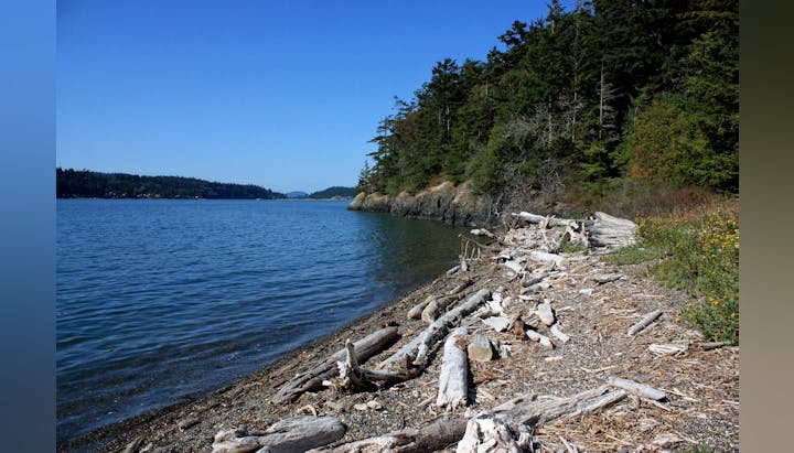 Photo of the South West Area by Kathleen Whalen, Thurston CD