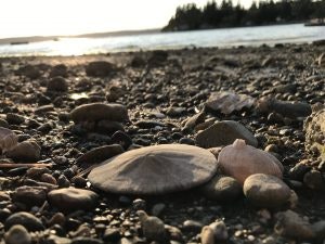 May contain: rock, pebble, road, nature, outdoors, sea, water, beach, coast, and shoreline