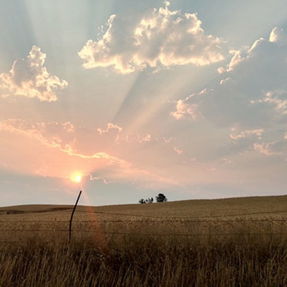 May contain: nature, outdoors, sky, field, grassland, sunlight, scenery, and sun