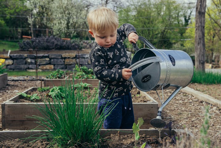 May contain: garden, nature, outdoors, soil, gardening, boy, child, male, person, grass, plant, herbal, herbs, and potted plant