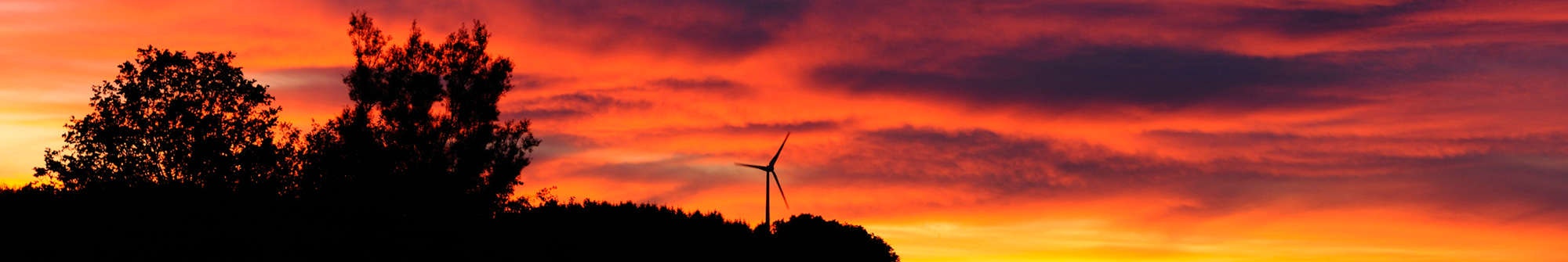 May contain: landscape, nature, outdoors, scenery, sky, sunset, panoramic, plant, tree, and windmill