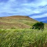 May contain: countryside, hill, nature, outdoors, field, grassland, grass, plant, slope, scenery, and landscape