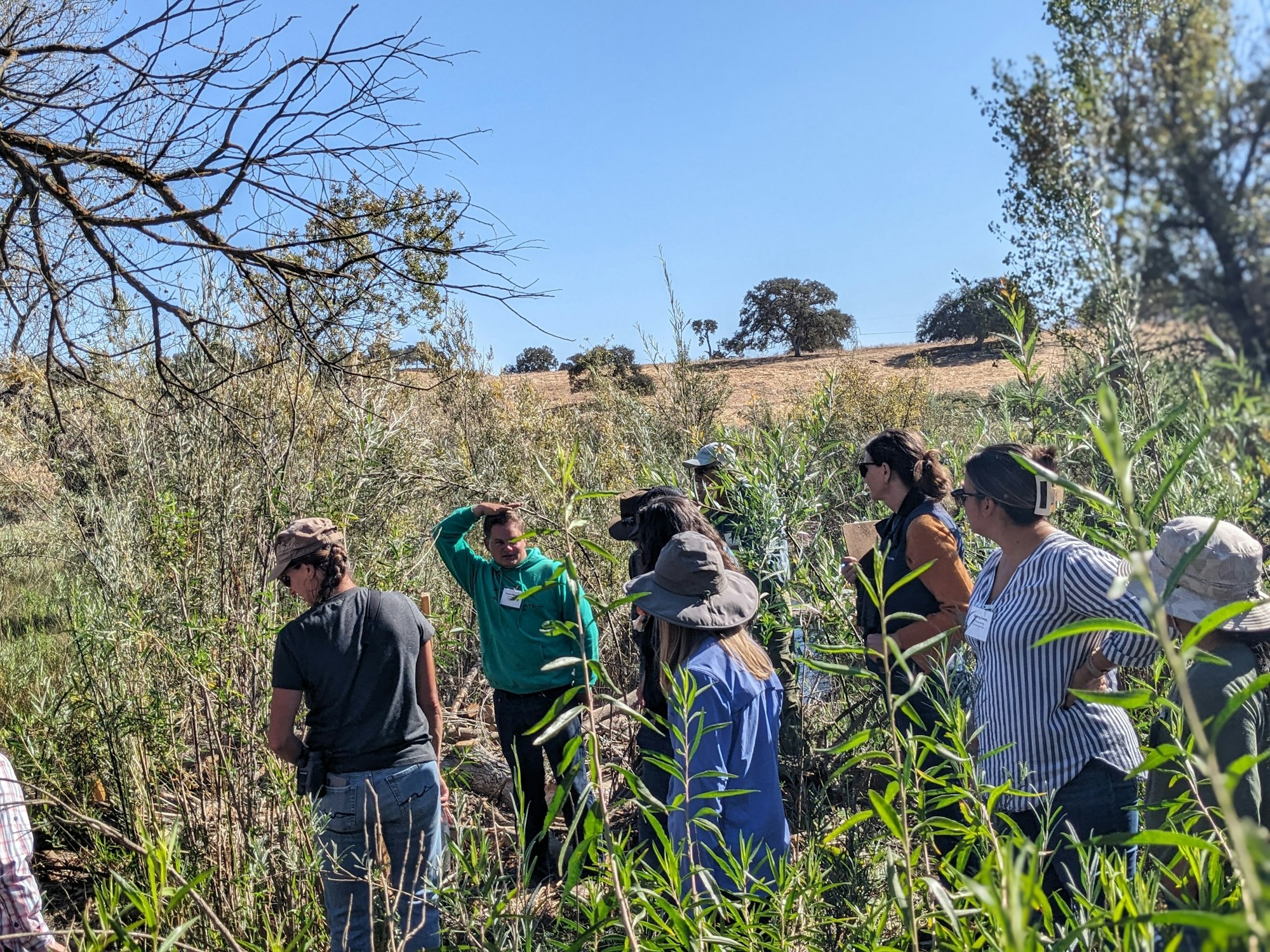 A group of people standing in a field with tall grass and trees under a clear blue sky.