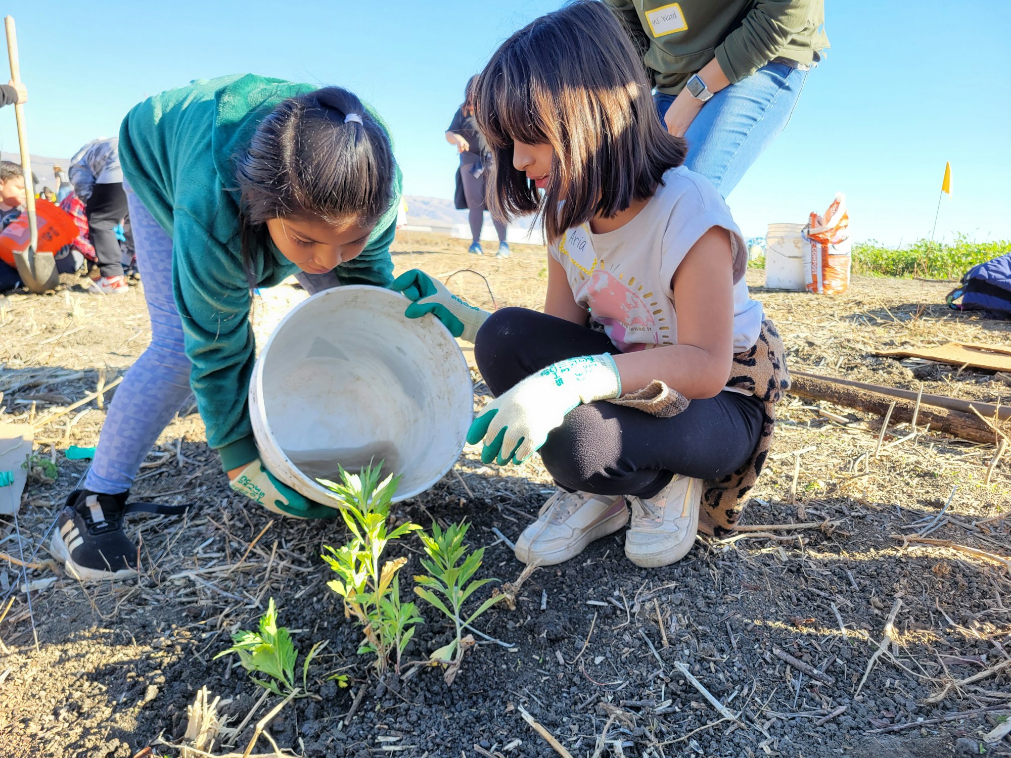 Two children wearing gloves are planting seedlings in soil, using a bucket.