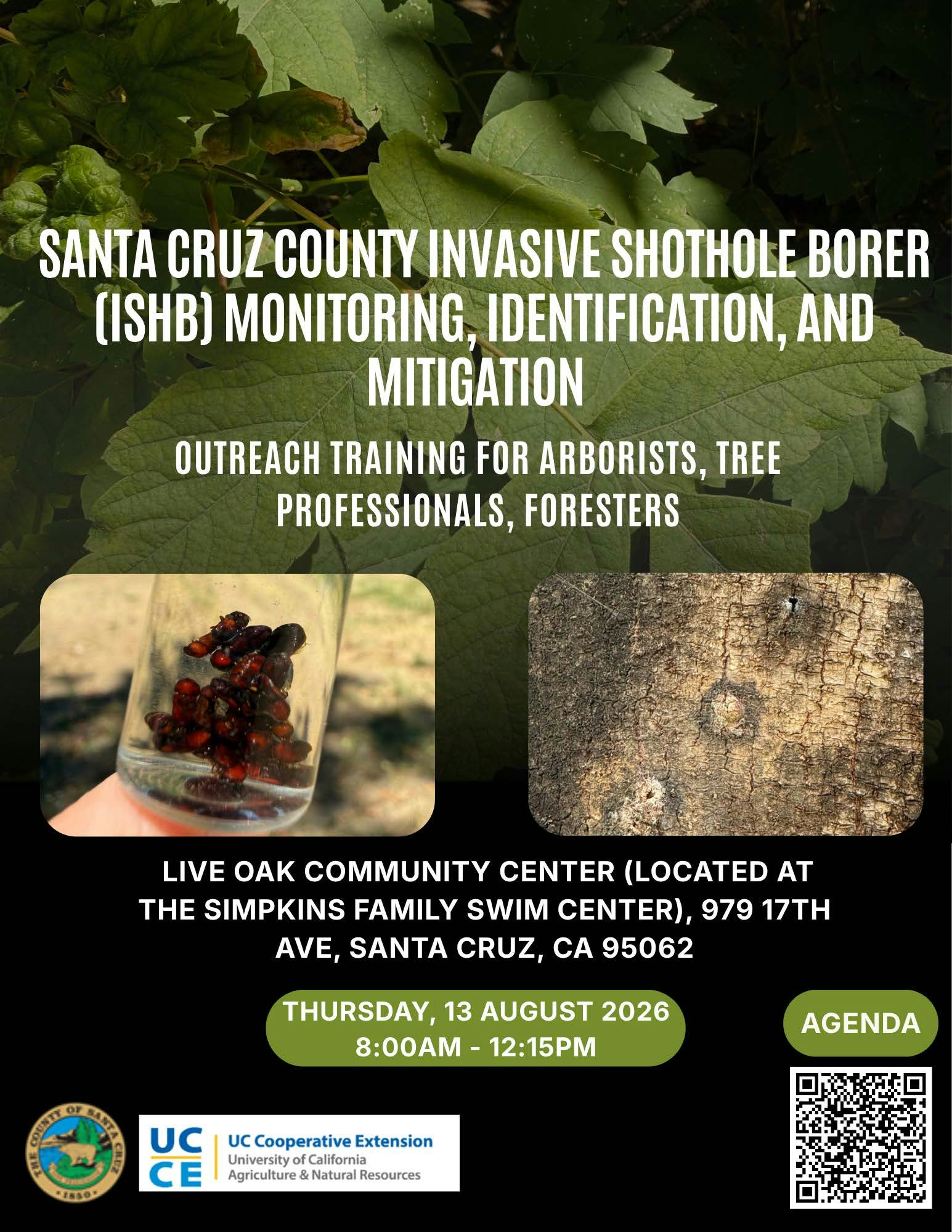 Training event on invasive shothole borer in Santa Cruz County for arborists and tree professionals. Date: Aug 13, 2026.