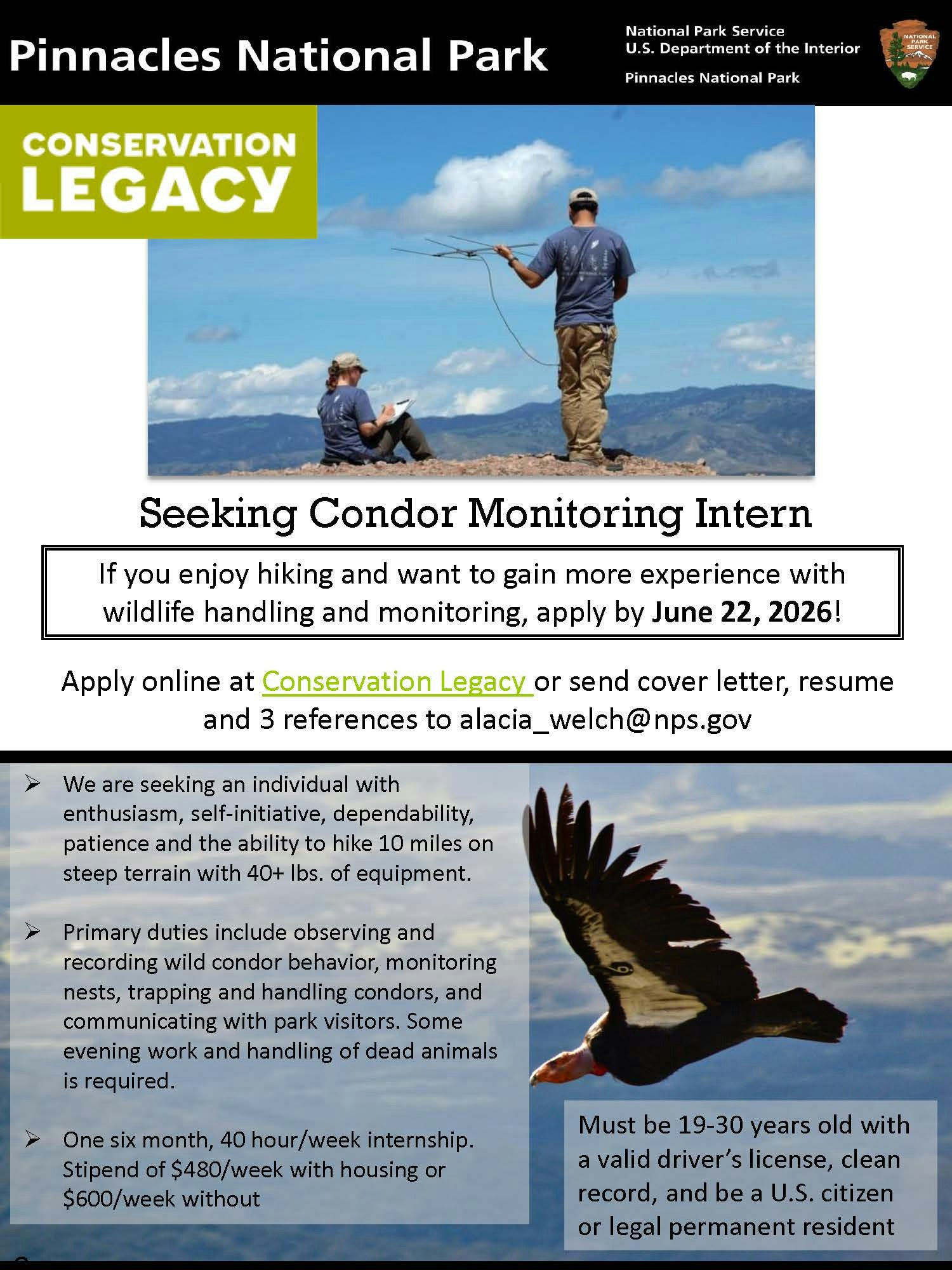 Pinnacles National Park seeks a Condor Monitoring Intern to aid in wildlife handling. Apply by June 22, 2026, for a paid position.