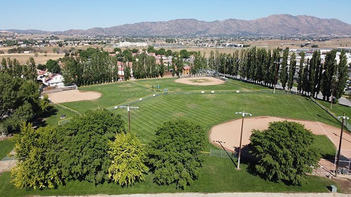 May contain: field, grass, plant, nature, outdoors, and park