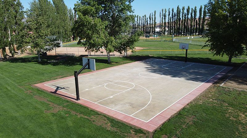 May contain: basketball and sport