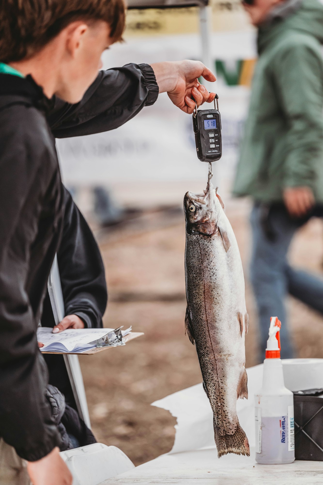 A person weighing a large fish on a handheld scale, with another person holding a clipboard nearby.