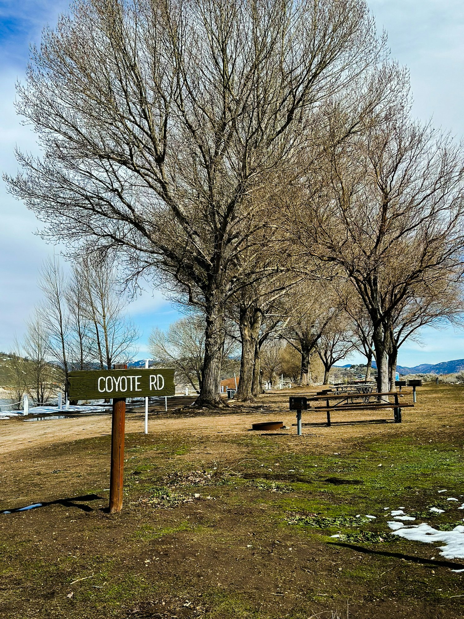 Bare trees, a sign reading "COYOTE RD," picnic tables, patches of snow, and a clear sky.