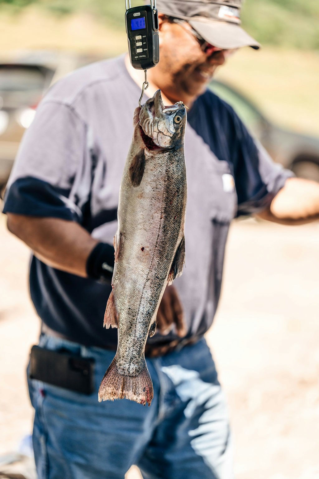 A person is weighing a fish using a handheld digital scale.