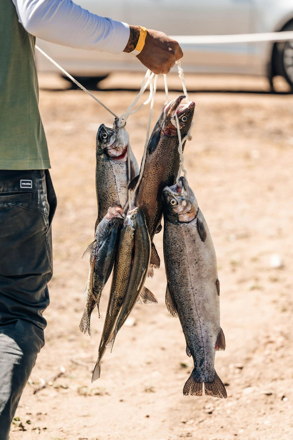 A person holding a string of several caught fish, outdoors.