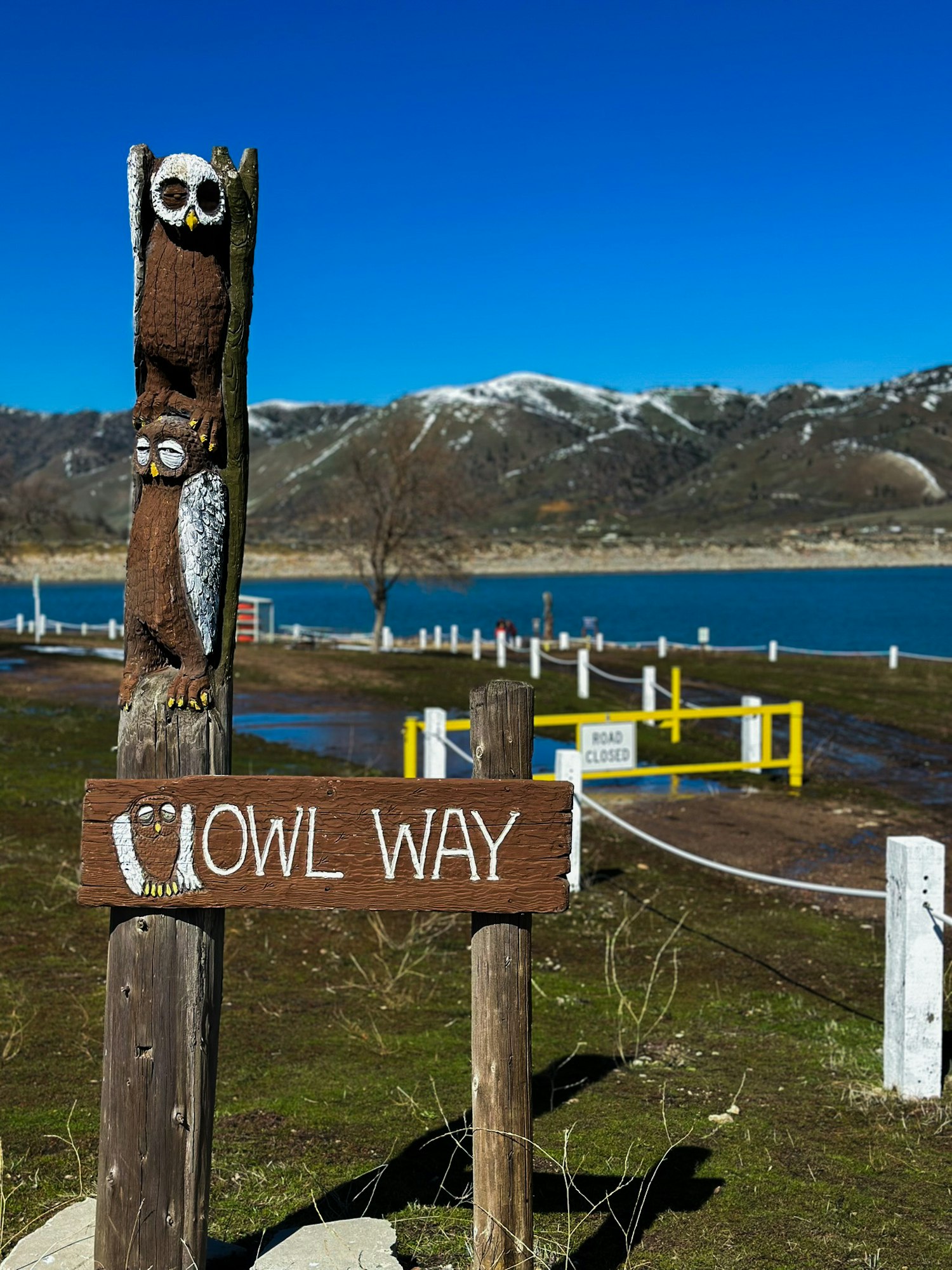 A carved wooden owl sign reading "OWL WAY" with a snowy mountain backdrop and a blue sky.