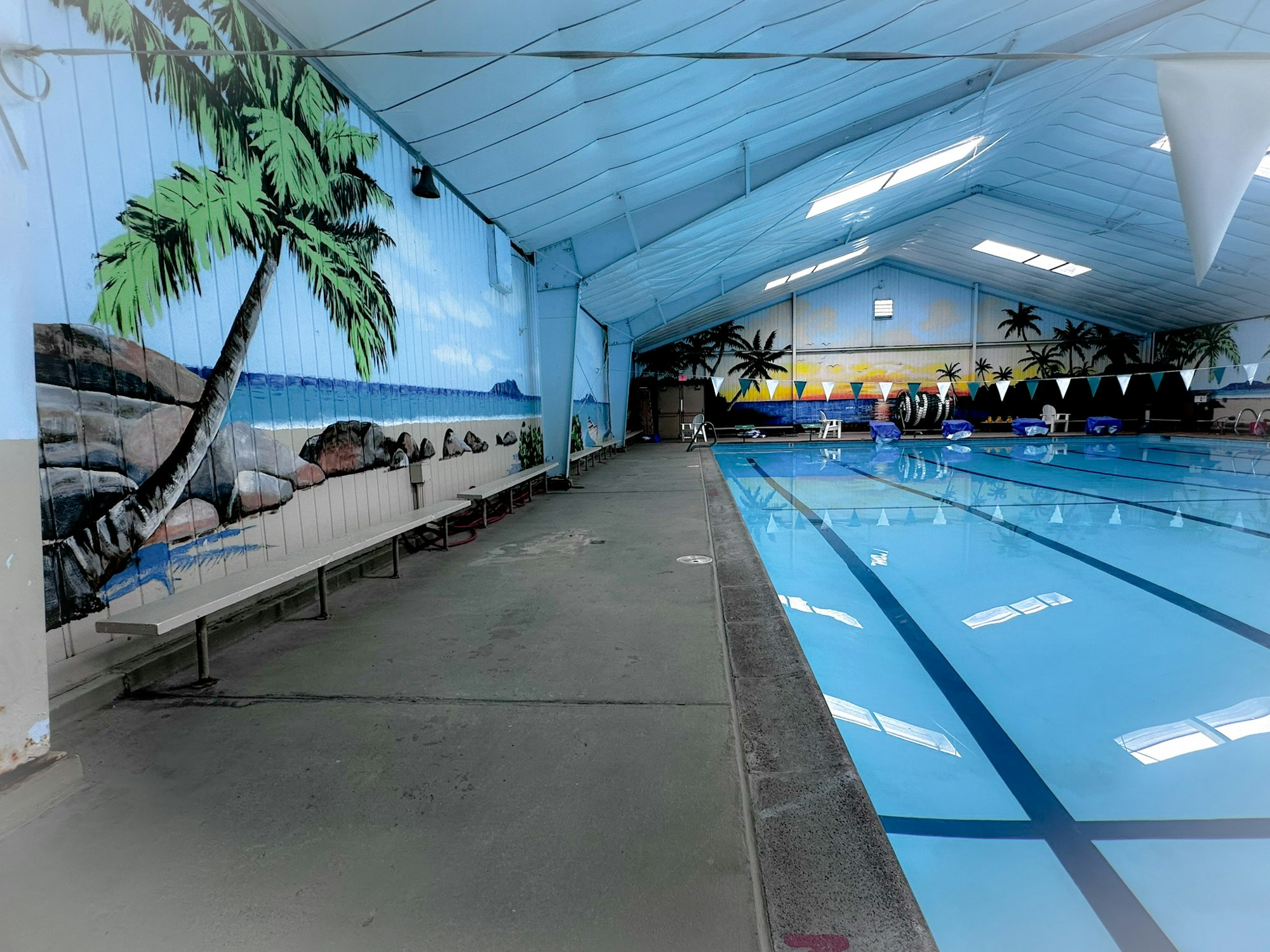 Indoor swimming pool with tropical mural, benches, lane dividers, and floating equipment.