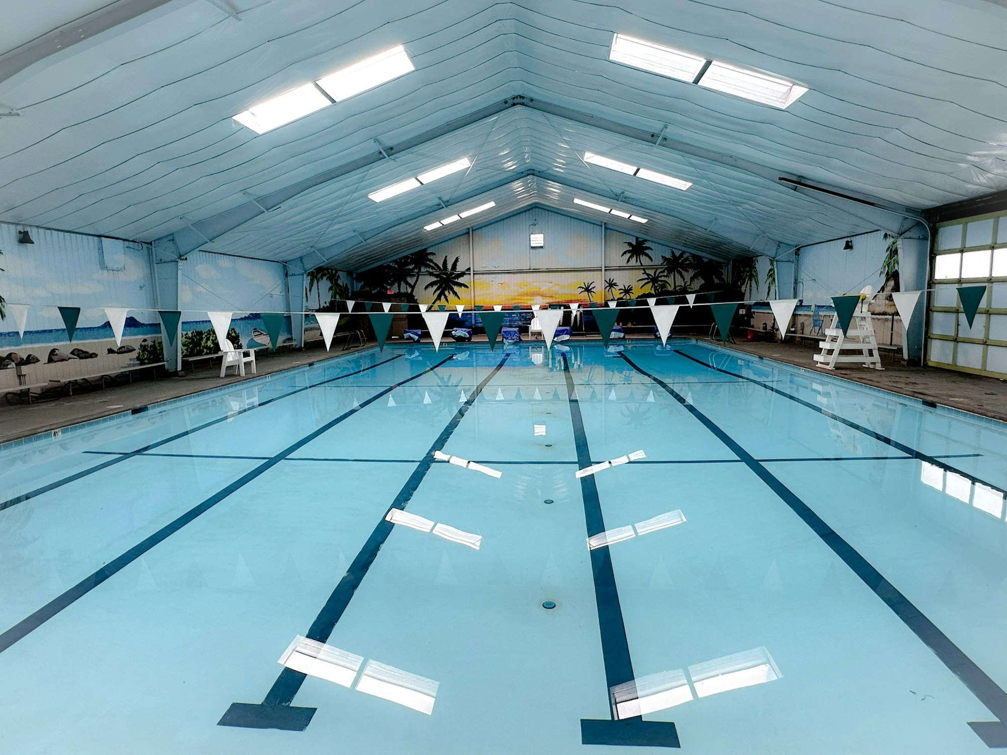 An indoor swimming pool with marked lanes and tropical murals on the walls.