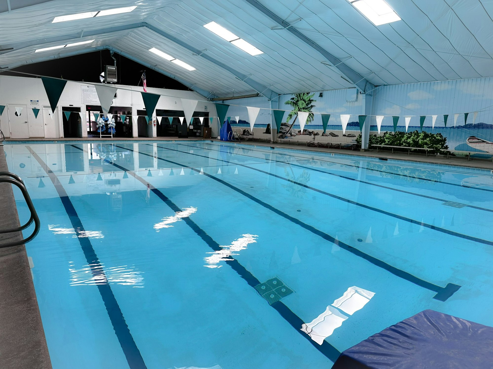 Indoor swimming pool with clear water, lane markers, and tropical murals on the walls.