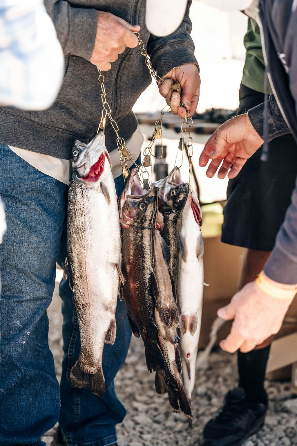 A person holds a string of large fish, showcasing a successful catch.