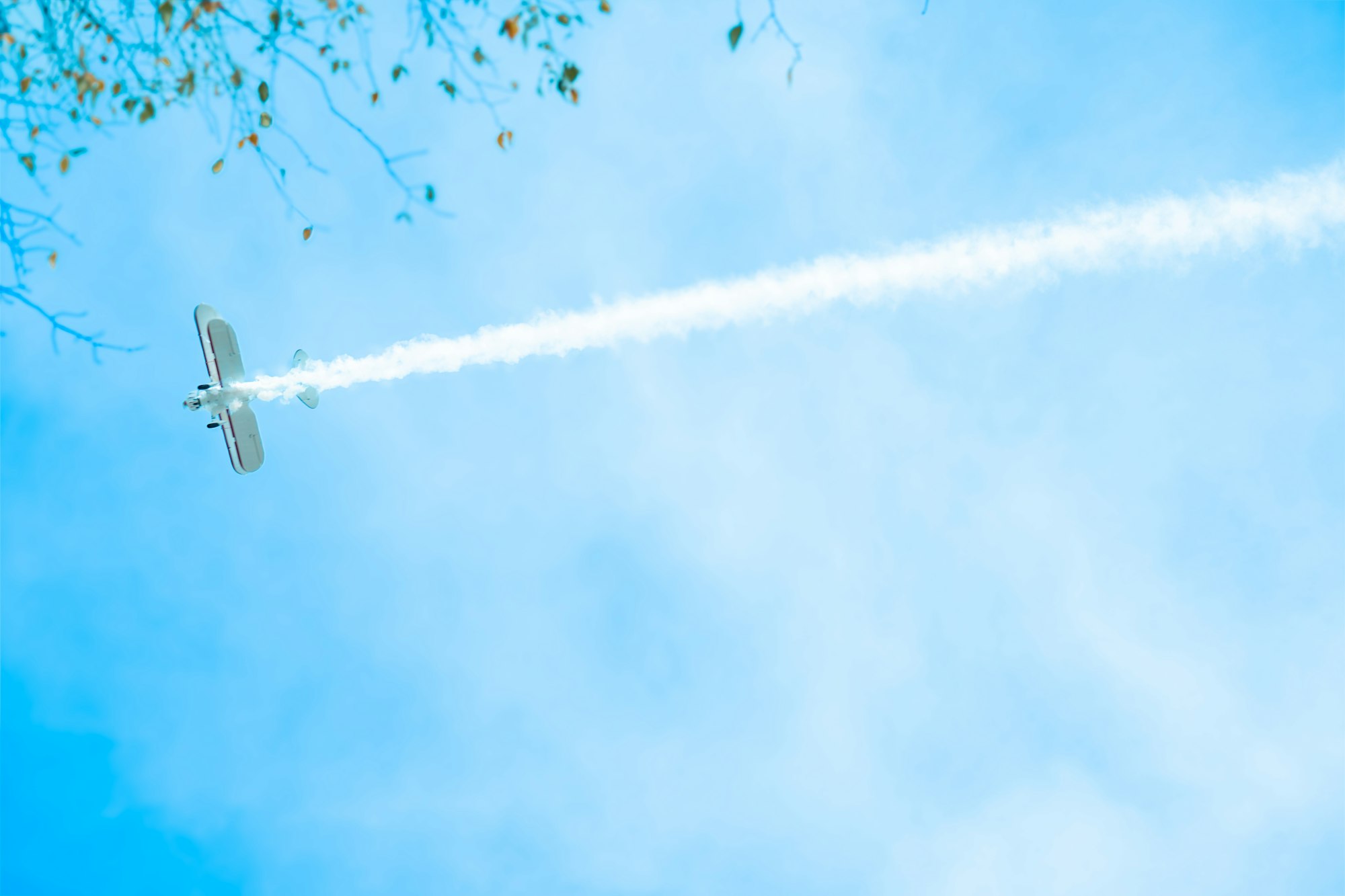 A small airplane flying in a bright blue sky, trailing a line of white smoke. Tree branches are visible in the corner.