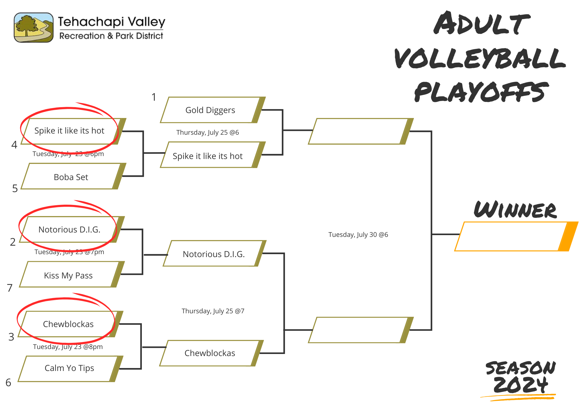 Bracket for adult volleyball playoffs with team names and match dates.