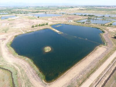 Aerial view of a large, rectangular pond with a small island in the center, surrounded by rural landscape and additional smaller ponds.