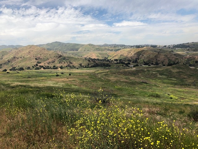 May contain: field, grassland, nature, outdoors, plant, vegetation, countryside, farm, pasture, rural, grass, land, and ground