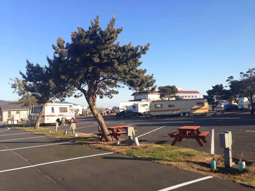 RV park with vehicles, a tree, picnic tables, and clear skies.