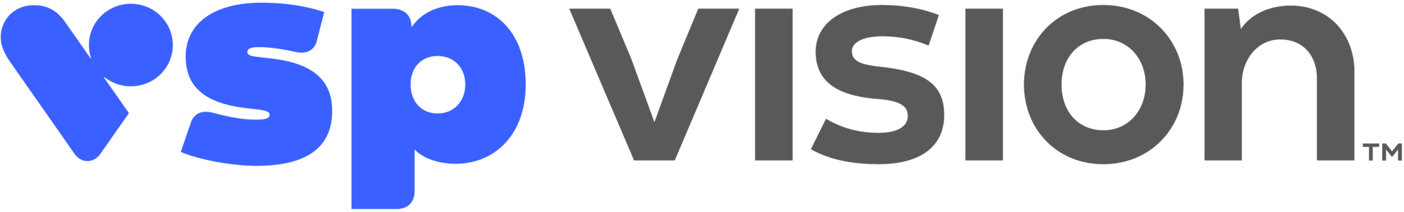 The image shows the logo for "VSP Vision".