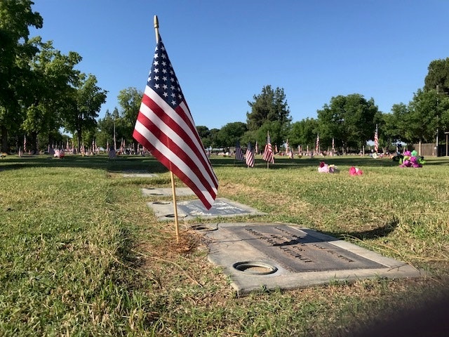 May contain: flag, symbol, grass, and plant