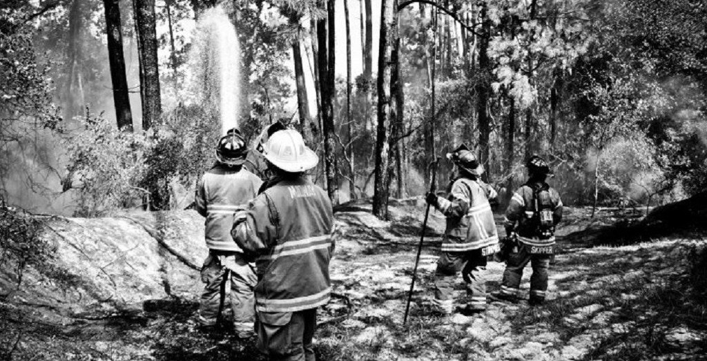 Black and White photo of firefighters in a forest