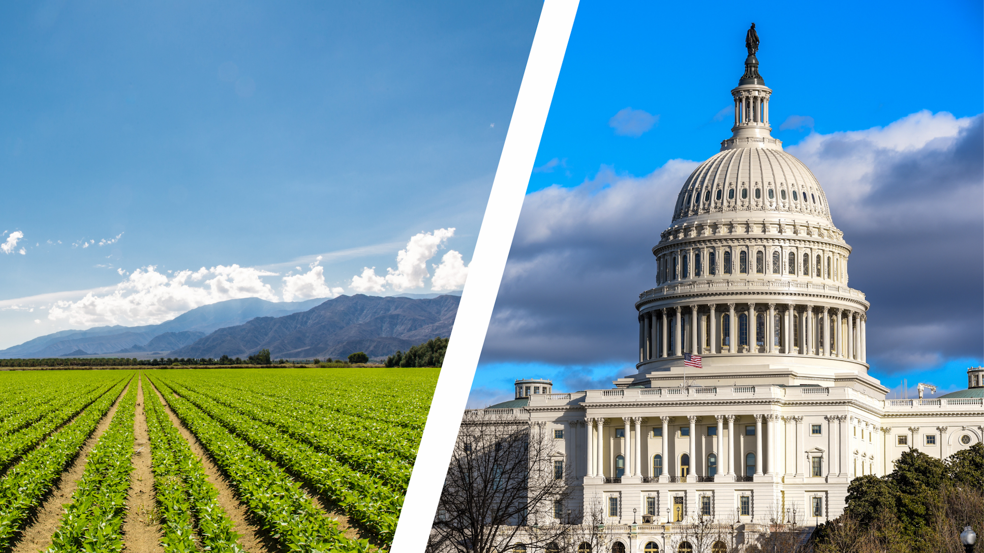 Split image: farmland on the left, U.S. Capitol building on the right.