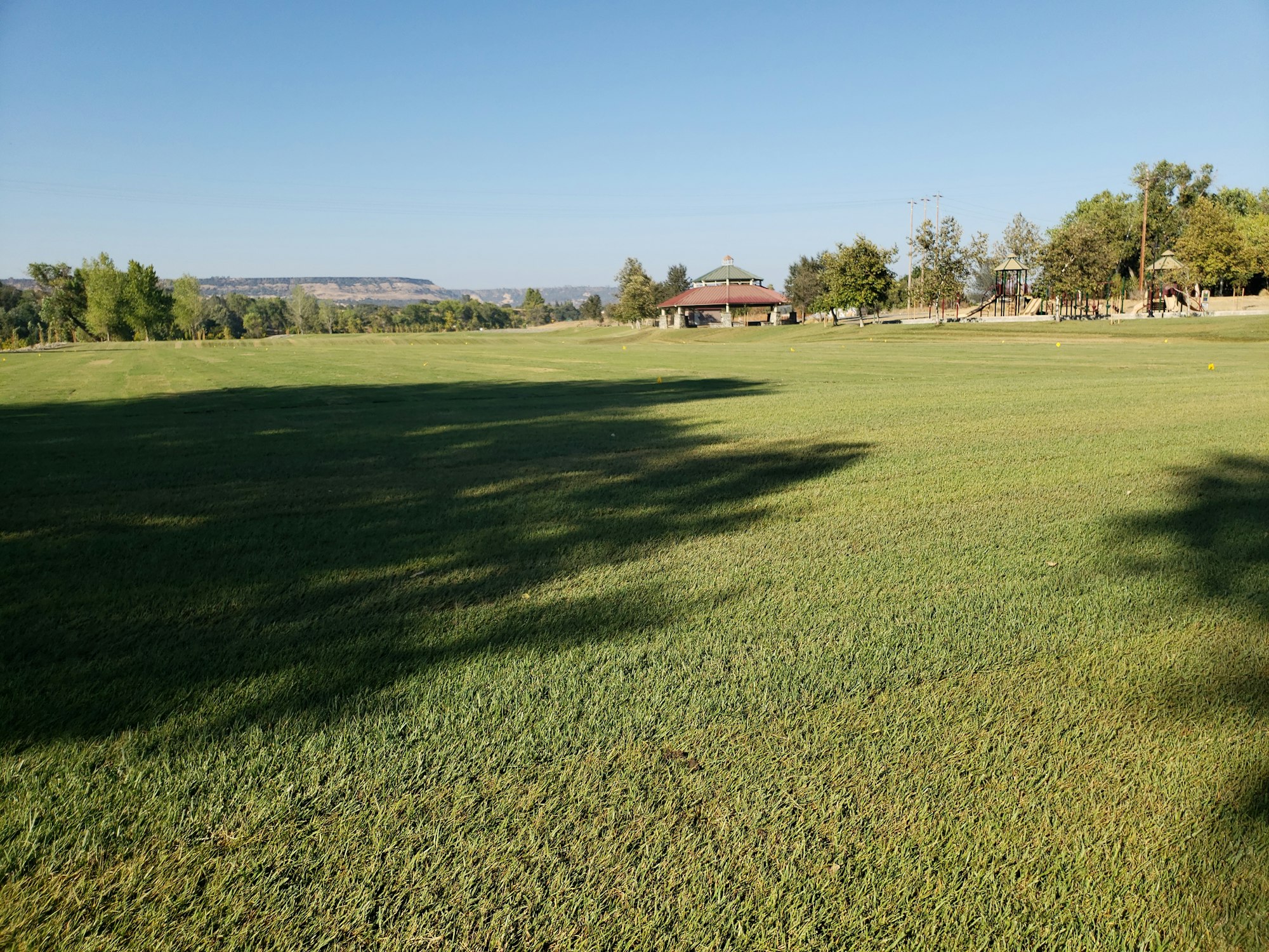 May contain: field, outdoors, plant, grass, and golf course