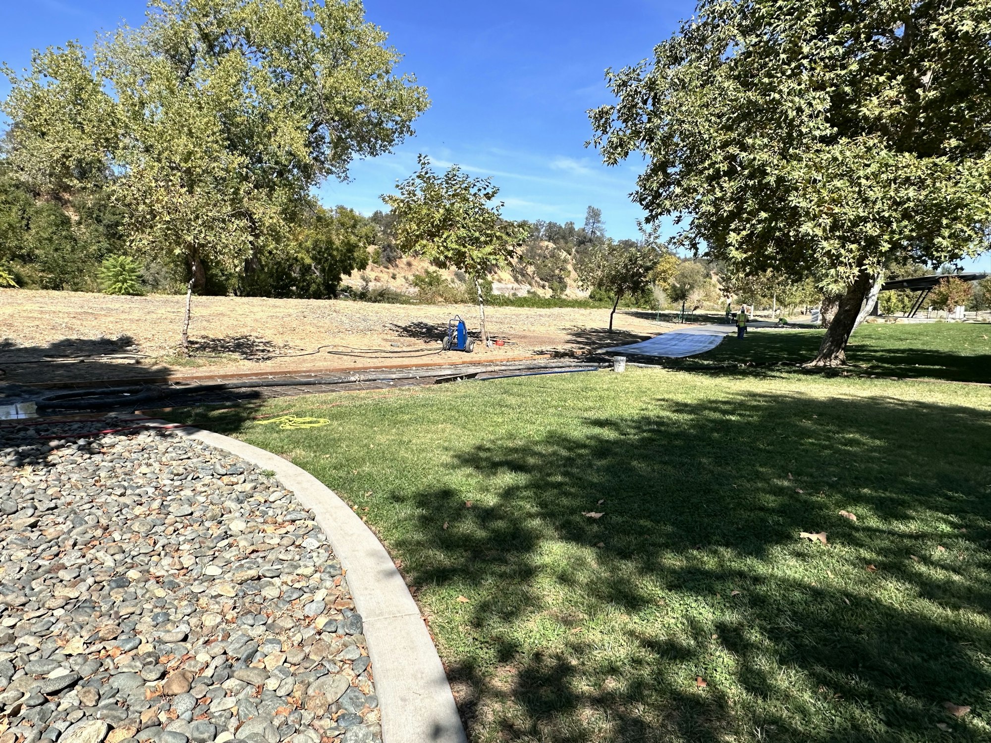 May contain: grass, nature, outdoors, park, plant, vegetation, grove, land, tree, woodland, scenery, oak, sycamore, rock, path, landscape, summer, backyard, yard, soil, person, and road