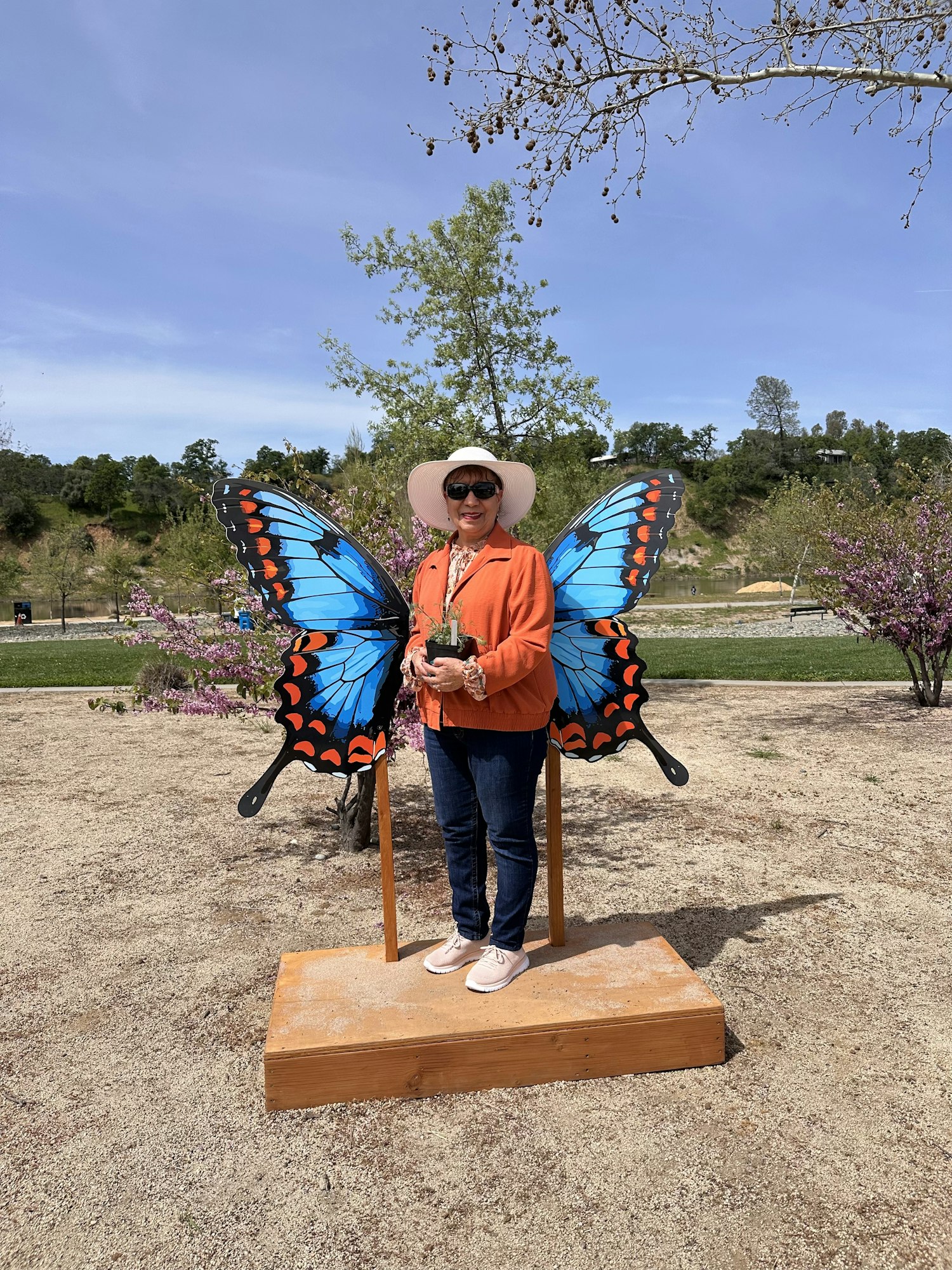 Person in a hat and sunglasses standing on a platform with large butterfly wings in a park setting.