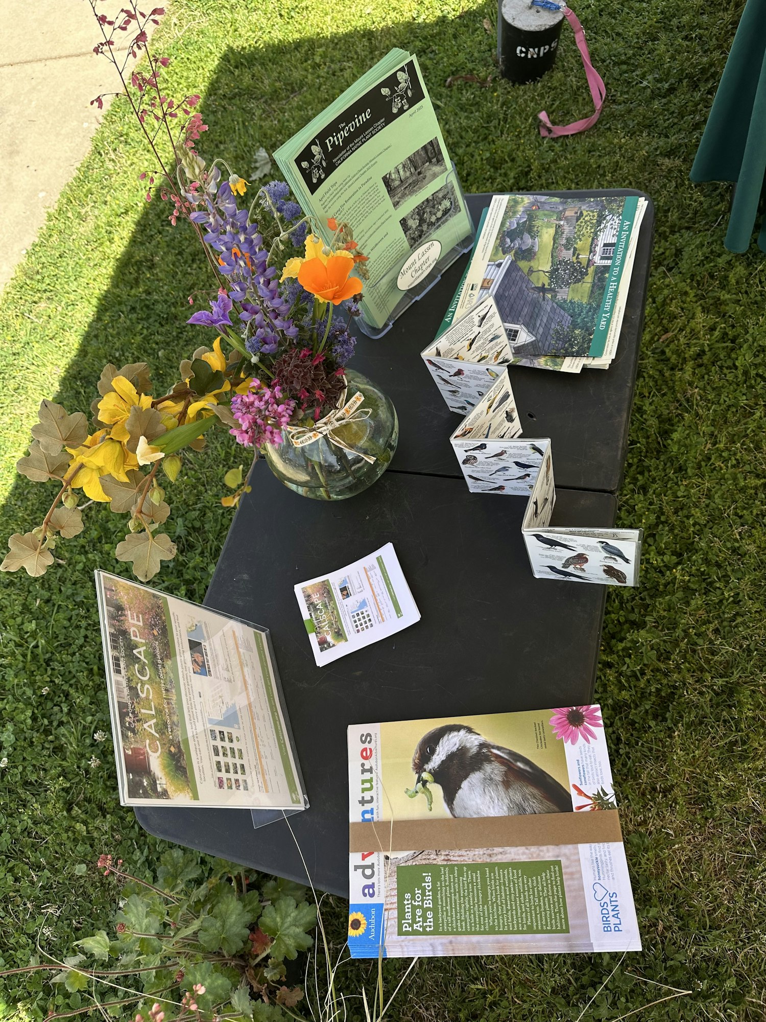 Table with nature-themed brochures, flyers, and a vase of wildflowers on grass.