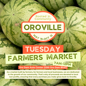 Oroville Farmers Market runs every Tuesday, 7 AM - 12 PM, from May 19 to Oct 13 at Oro Dam Auto Center. Local nonprofits benefit!