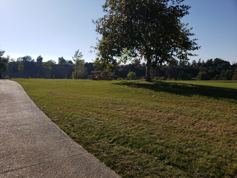 May contain: plant, grass, path, and lawn