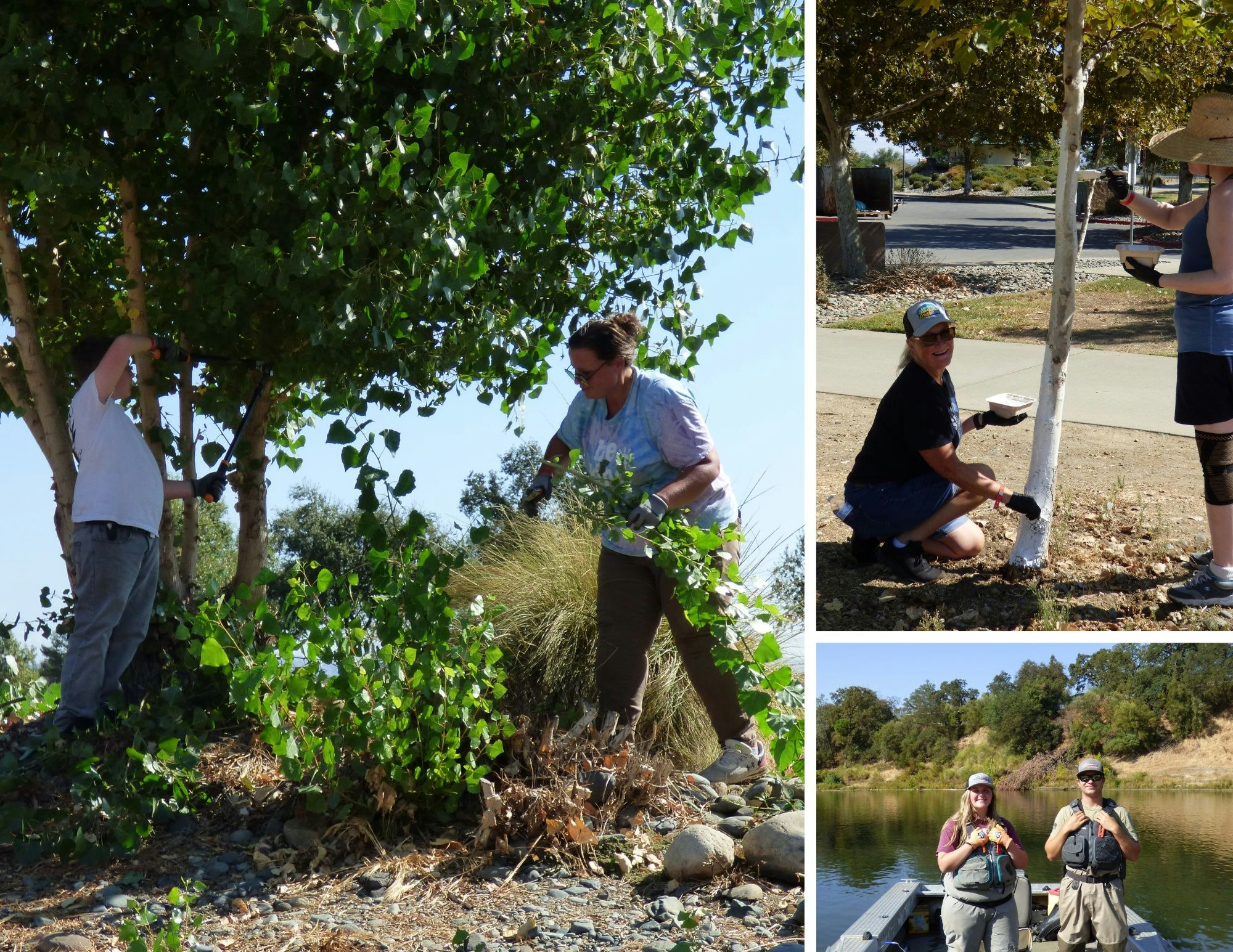 The image shows people engaged in tree maintenance and planting activities in a natural setting.