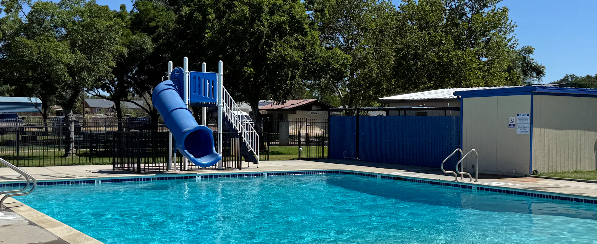 A clear pool features a blue waterslide and surrounding trees, with a sunny blue sky above. Perfect for summer fun!