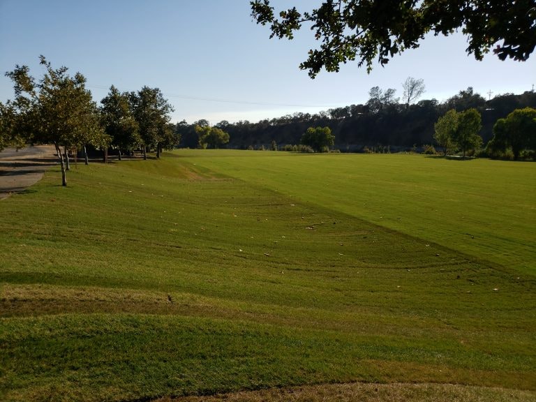 May contain: field, outdoors, plant, grass, and golf course