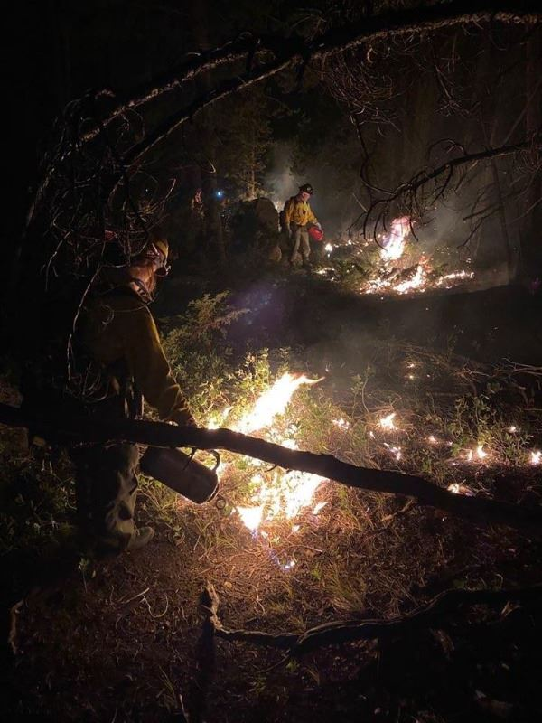 Firefighters conducting a controlled burn at night in a forested area, surrounded by small fires and vegetation.