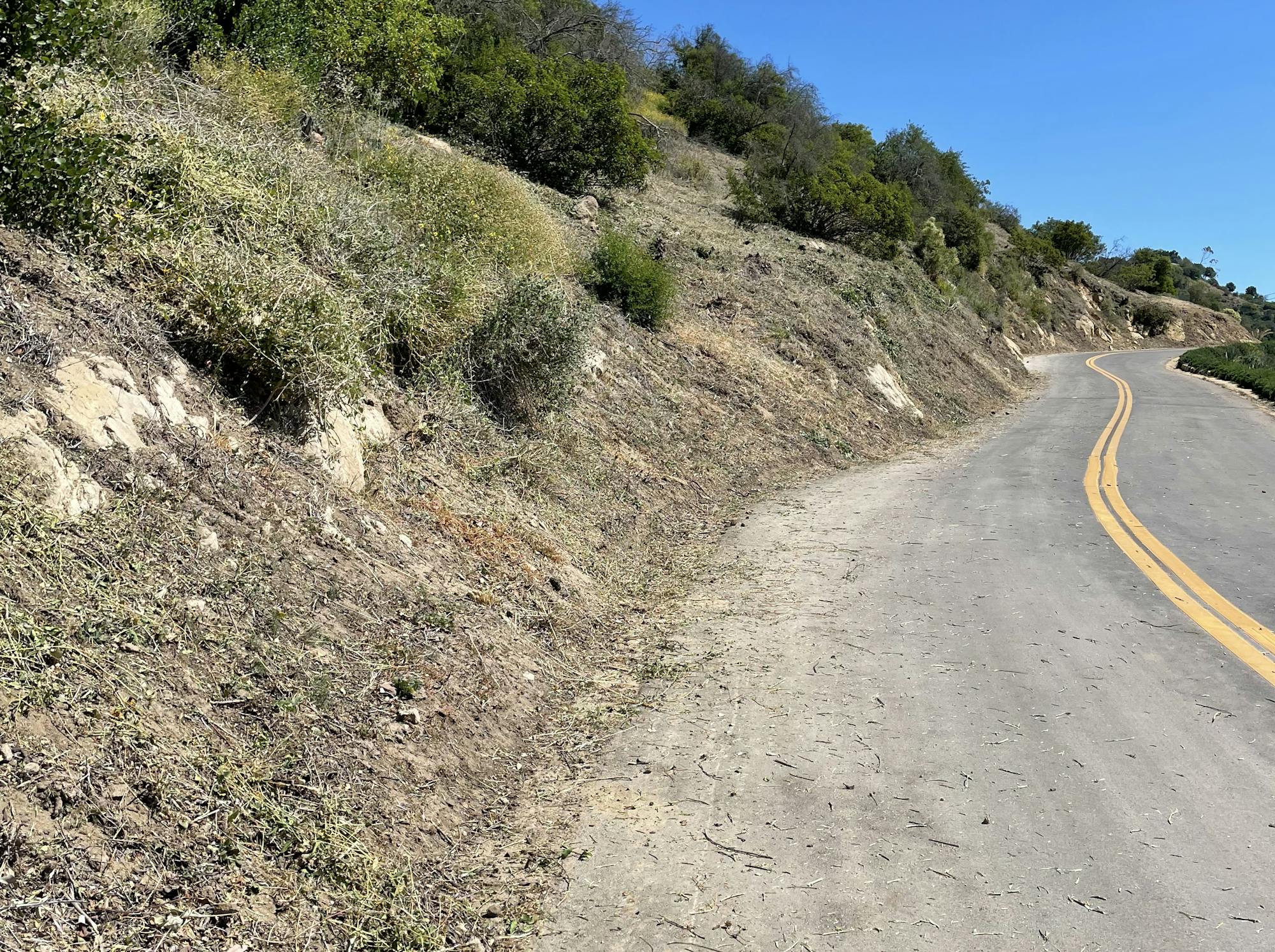 Grass and vegetation is cut back along a roadway to reduce the risk of fires sparked by vehicles.