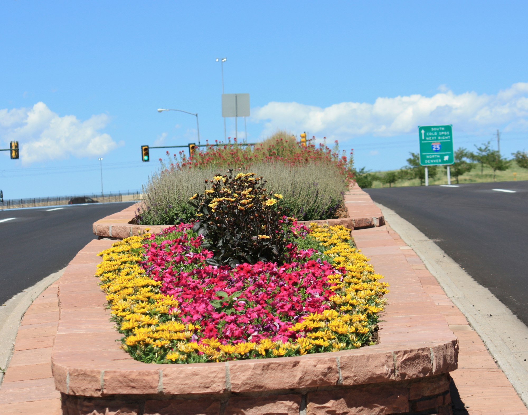 May contain: light, traffic light, road, plant, flagstone, blossom, flower, tarmac, asphalt, and path