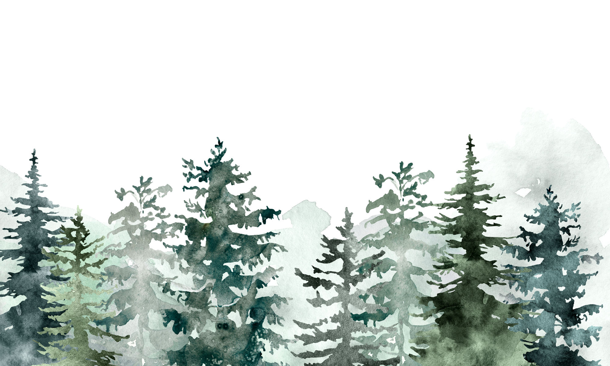 Watercolor painting of a forest with pine trees on a black background.