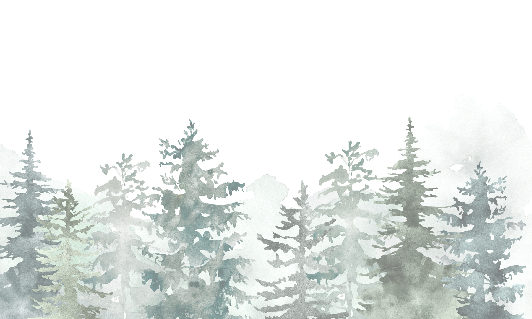 Watercolor painting of evergreen trees against a dark background.