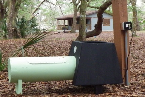 May contain: grass, plant, and mailbox