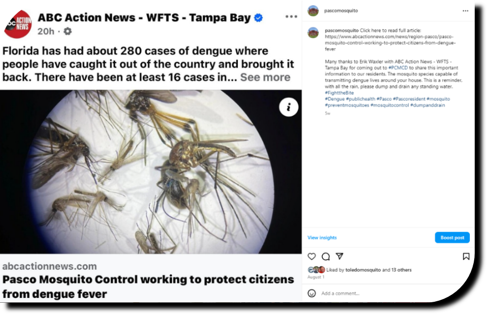 A news post about dengue cases in Florida alongside an image of mosquitoes.