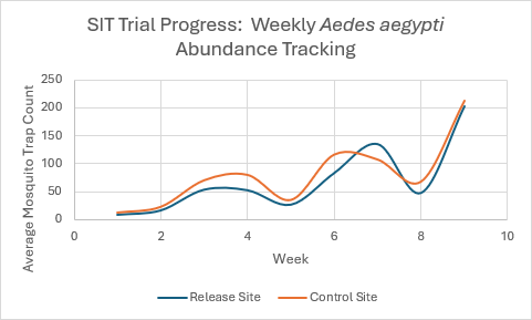 Graph showing weekly mosquito trap counts for Aedes aegypti at release and control sites over 10 weeks.