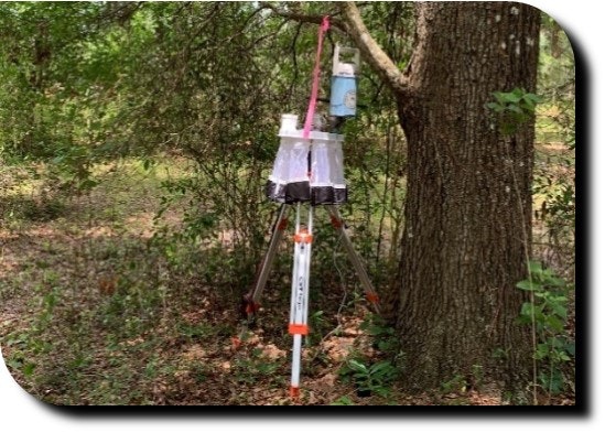 Rotator trap to identify times of peak mosquito flight activity