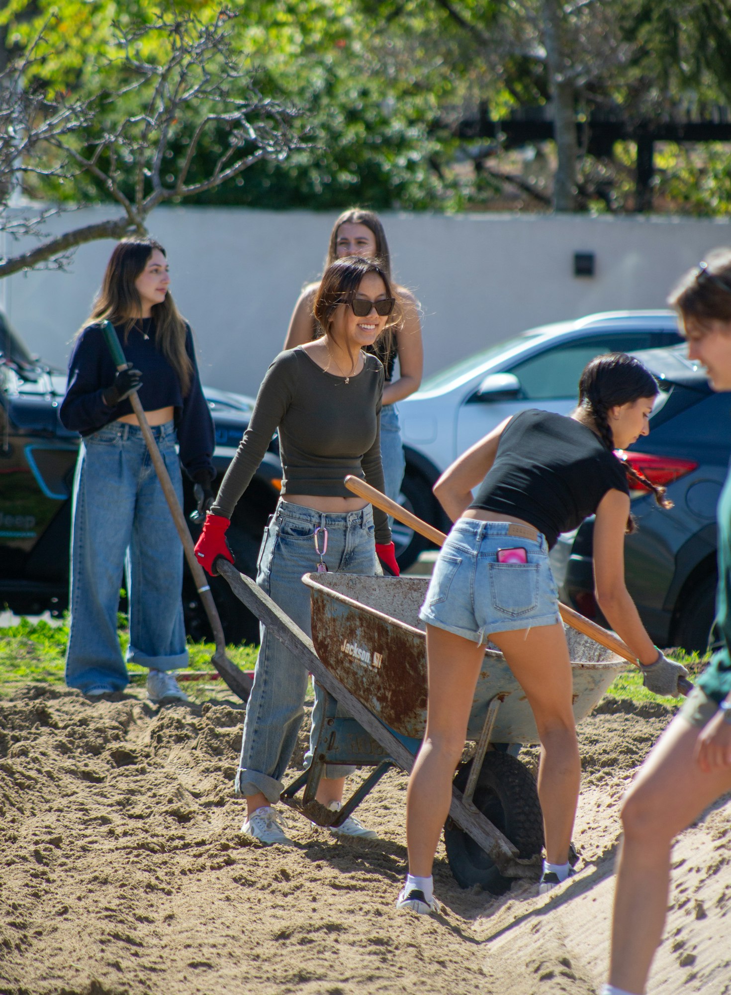 Four people gardening, using a wheelbarrow and tools in a sunny outdoor setting.
